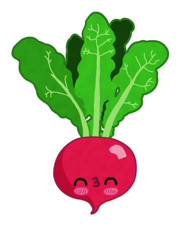 Vegetable radish with funny faceの写真素材