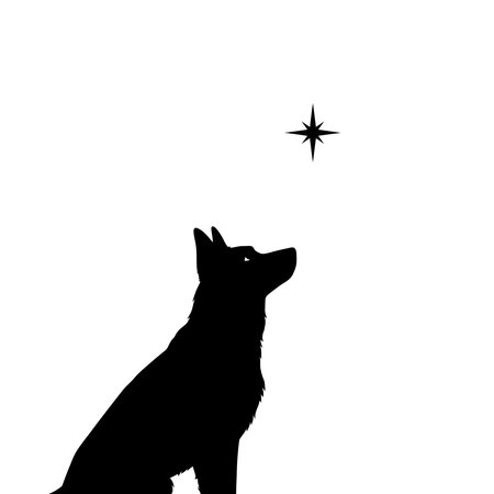 A black silhouette of a sitting dog, possibly a German Shepherd, gazing upwards towards a single, shining star.のイラスト素材