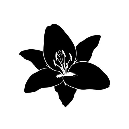 A striking black and white silhouette of a lily flower, highlighting its delicate petals and prominent stamen.のイラスト素材