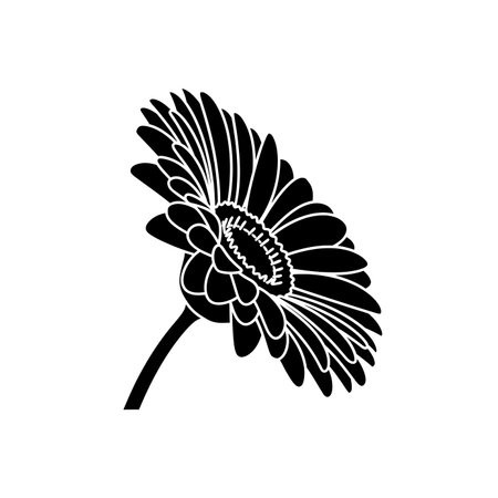 A striking black and white silhouette of a gerbera daisy flower, showcasing its elegant petals and distinct shape.のイラスト素材