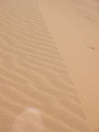 Sand Duneの写真素材