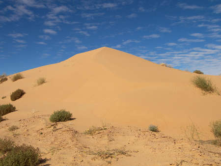 Sand Dune