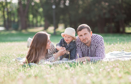smiling happy young family with little child and a  dog husky. couple walk in parkの写真素材