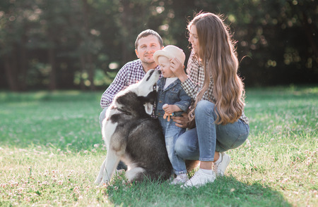 smiling happy young family with little child and a  dog husky. couple walk in parkの写真素材