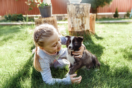 little girl is playing with a dog. a dog as a gift to children. children's smile happyの写真素材