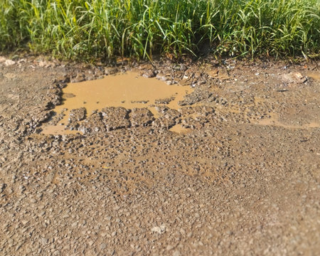 Close-up view of a damaged asphalt road with a large pothole filled with muddy water after the rain. The uneven surface and surrounding grass indicate a poorly maintained ruralの写真素材