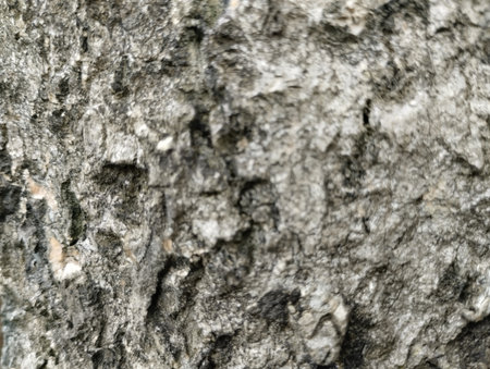 A highly textured, close-up photograph of a rough, uneven natural surface, possibly tree bark or rock/stone. The image is intentionally soft-focused or out-of-focus (OOF)の写真素材