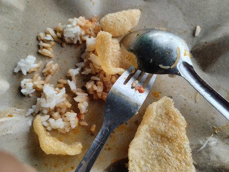 A close-up shot of leftovers from a serving of Nasi Uduk (Indonesian fragrant coconut rice) and crackers (krupuk). The small amount of rice, seasoned with spices and cooked in cocoの写真素材