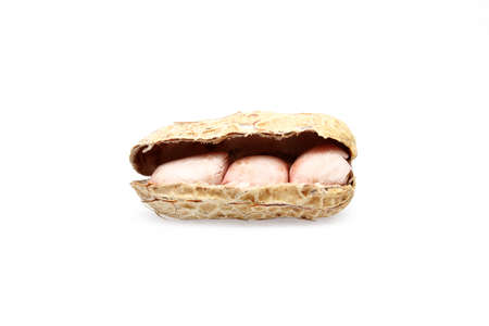 Peanutの写真素材