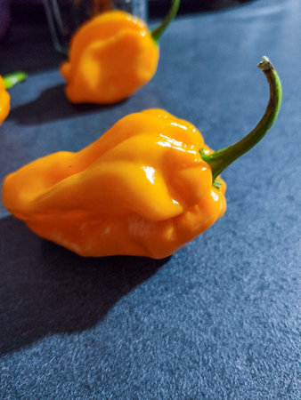 Yellow hot chili peppers on a dark blue background. Selective focus.
