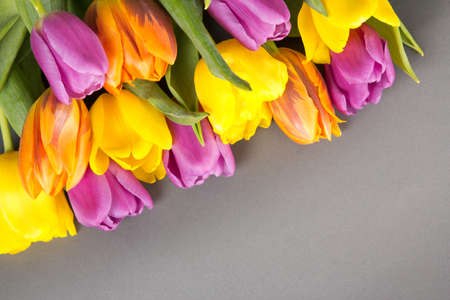 beautiful bouquet of tulip flowers on grey backgroundの写真素材