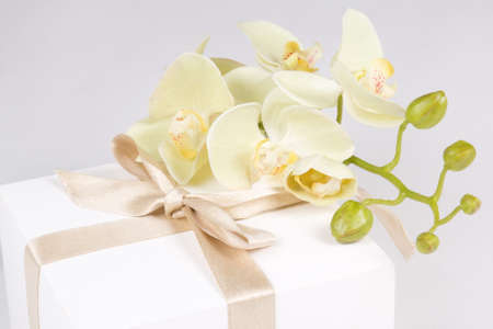 gift box with ribbon and white orchid flowerの写真素材