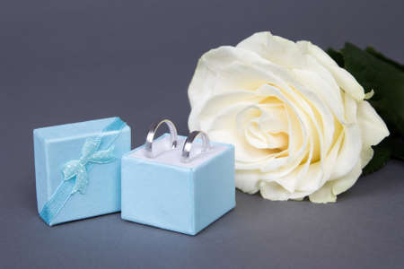 beautiful white rose flower and wedding rings in blue box over grey background