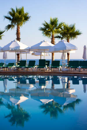 summer background - swimming pool and palm trees on the beachの写真素材