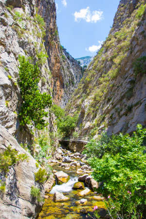 mountains and forest - beautiful landscape of Sapadere canyon in Turkeyの写真素材