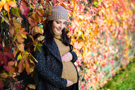 attractive pregnant woman posing over colorful autumn backgroundの写真素材