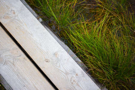 top view of wooden boardwalk through forest and swampの写真素材