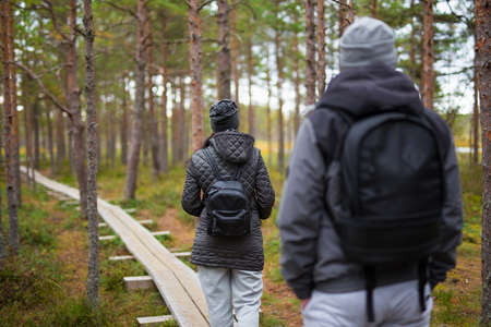 back view of couple with backpacks walking in autumn forestの写真素材