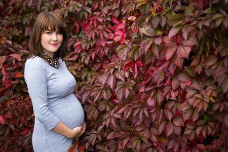 beautiful pregnant woman posing over autumn background