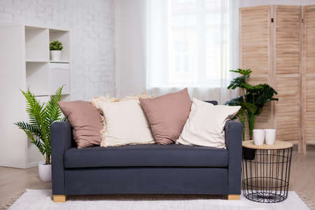 modern interior - bright living room with sofa, pillows, plants and folding screenの写真素材