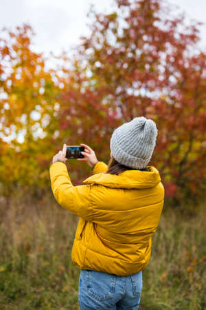 back view of young woman taking photo with smart phone in autumn forest