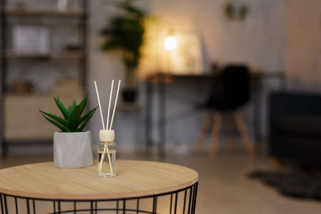 reed diffuser and house plant on the table in living room or home officeの写真素材