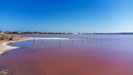 beautiful aerial view of pink salt lake Las Salinas in Torrevieja, Spainの写真素材