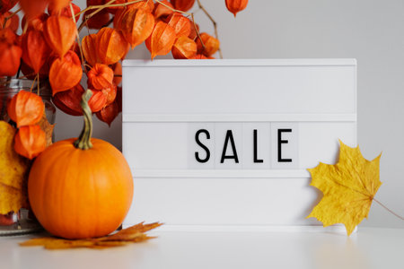 Sale concept - Lightbox with yellow leaves, orange pumpkin and physalisの写真素材