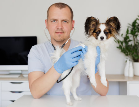 Man veterinarian checking up the dog on table in medical officeの写真素材