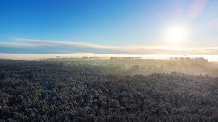 Aerial view on winter sunny forest and city in fogの写真素材