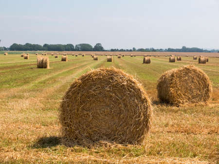 bale of hay on cultivated field, blue sky in the background