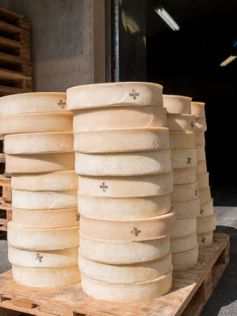 Fresh cheeses stacked on pallets waiting to be seasoned in cavesの写真素材