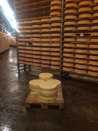 Fresh cheeses stacked on pallets waiting to be seasoned in caves