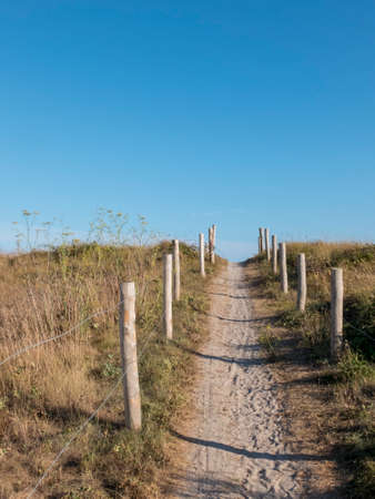 Access path to the beach dunes. Wood bollards delimit the walkable area. Cloudless blue sky.の写真素材