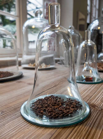 Cloves and other spices under glass bell on wooden table. Daylight filters from window