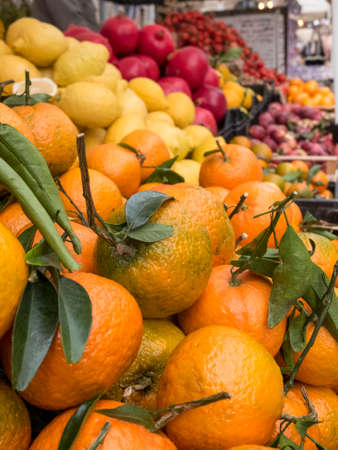 Close up of fruit on a market stall. Mandarins on the top floor, immediately behind lemons and pomegranates.の写真素材