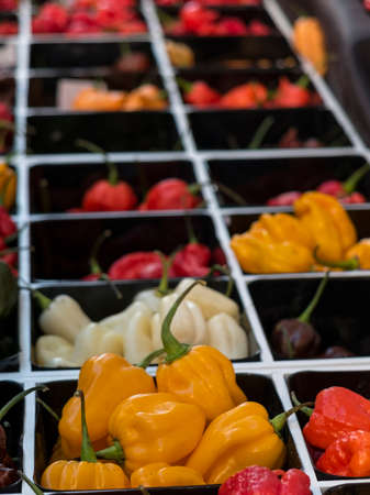 Prospective view of grid square square boxes with varieties of hot chillies of varied colors.の写真素材