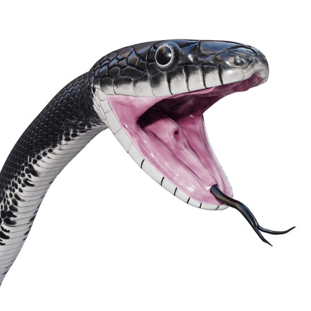 3d illustration of Black rat snake.