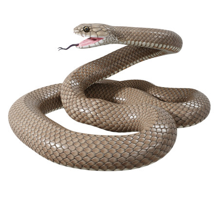 3D illustration of Bismarck ringed python.