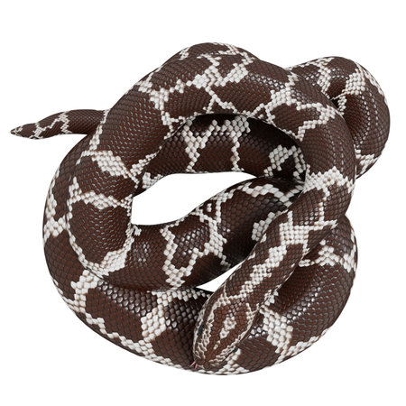 3D illustration of Kenyan sand boa.の写真素材