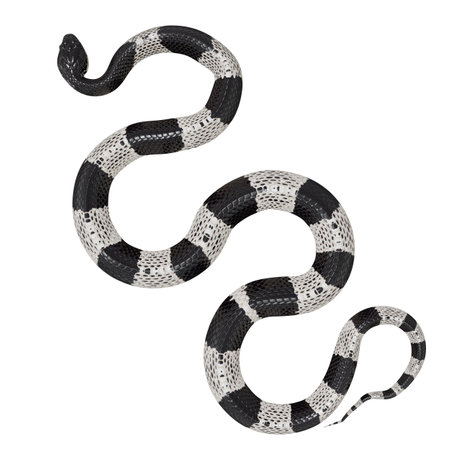 3D illustration of Malayan Krait.の写真素材