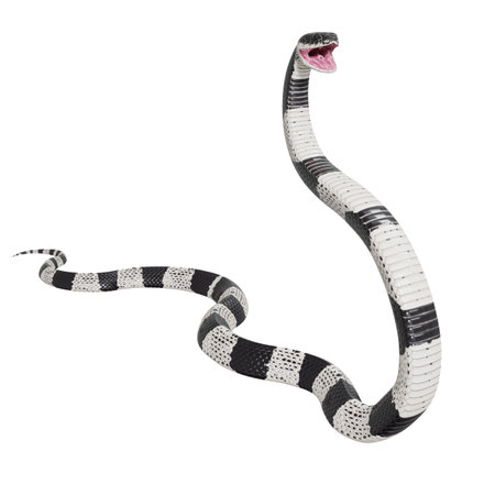3D illustration of Malayan Krait.