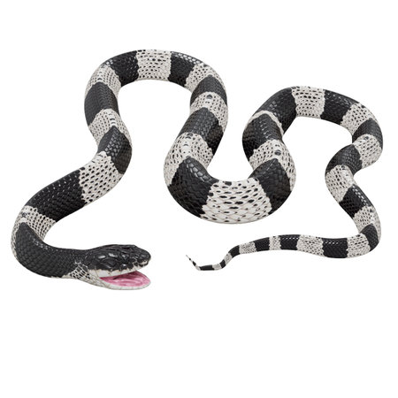 3D illustration of Malayan Krait.の写真素材