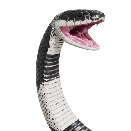 3D illustration of Malayan Krait.の写真素材