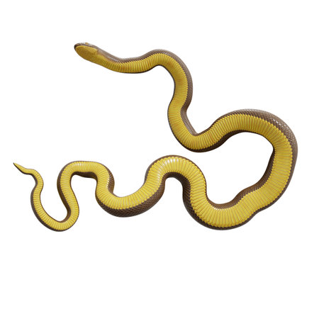 3D illustration of Rubber boa.の写真素材