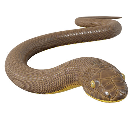 3D illustration of Rubber boa.の写真素材