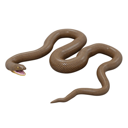 3D illustration of Rubber boa.の写真素材