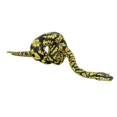 3D illustration of Zebra jungle carpet python.