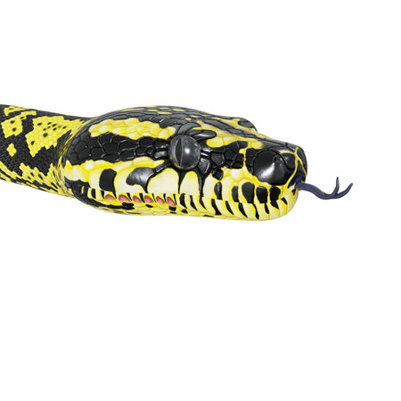 3D illustration of Zebra jungle carpet python.