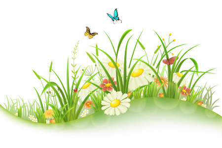 Spring summer meadow with green grass, flowers and butterflies